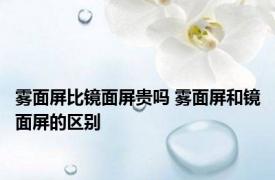 雾面屏比镜面屏贵吗 雾面屏和镜面屏的区别