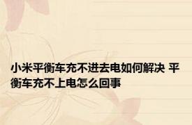 小米平衡车充不进去电如何解决 平衡车充不上电怎么回事