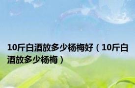 10斤白酒放多少杨梅好（10斤白酒放多少杨梅）