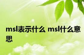 msl表示什么 msl什么意思