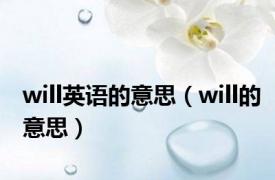 will英语的意思（will的意思）