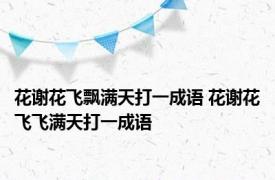 花谢花飞飘满天打一成语 花谢花飞飞满天打一成语