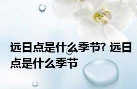 远日点是什么季节? 远日点是什么季节