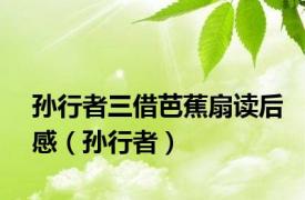 孙行者三借芭蕉扇读后感（孙行者）