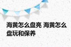 海黄怎么盘亮 海黄怎么盘玩和保养