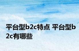 平台型b2c特点 平台型b2c有哪些