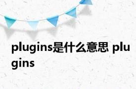 plugins是什么意思 plugins 