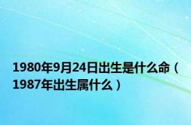 1980年9月24日出生是什么命（1987年出生属什么）