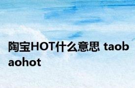 陶宝HOT什么意思 taobaohot 