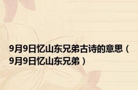 9月9日忆山东兄弟古诗的意思（9月9日忆山东兄弟）