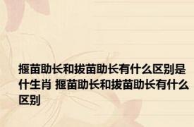 揠苗助长和拔苗助长有什么区别是什生肖 揠苗助长和拔苗助长有什么区别