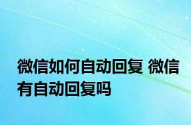 微信如何自动回复 微信有自动回复吗