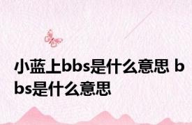 小蓝上bbs是什么意思 bbs是什么意思