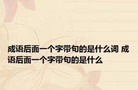 成语后面一个字带句的是什么词 成语后面一个字带句的是什么