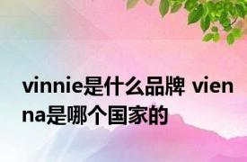 vinnie是什么品牌 vienna是哪个国家的