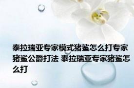 泰拉瑞亚专家模式猪鲨怎么打专家猪鲨公爵打法 泰拉瑞亚专家猪鲨怎么打