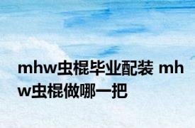 mhw虫棍毕业配装 mhw虫棍做哪一把