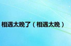 相遇太晚了（相遇太晚）