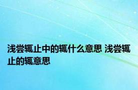 浅尝辄止中的辄什么意思 浅尝辄止的辄意思