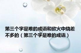 第三个字是难的成语和欲火中烧差不多的（第三个字是难的成语）