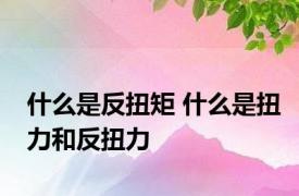 什么是反扭矩 什么是扭力和反扭力