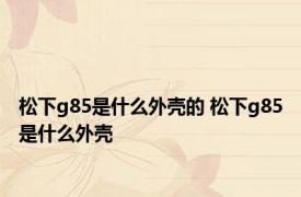 松下g85是什么外壳的 松下g85是什么外壳