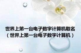 世界上第一台电子数字计算机取名（世界上第一台电子数字计算机）