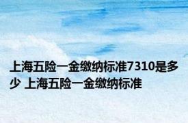 上海五险一金缴纳标准7310是多少 上海五险一金缴纳标准