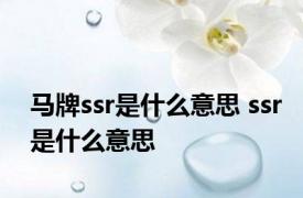 马牌ssr是什么意思 ssr是什么意思