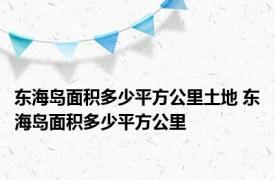 东海岛面积多少平方公里土地 东海岛面积多少平方公里