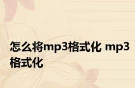 怎么将mp3格式化 mp3格式化 