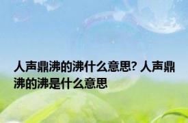 人声鼎沸的沸什么意思? 人声鼎沸的沸是什么意思