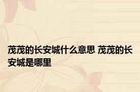 茂茂的长安城什么意思 茂茂的长安城是哪里