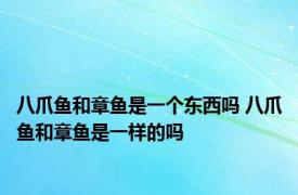 八爪鱼和章鱼是一个东西吗 八爪鱼和章鱼是一样的吗