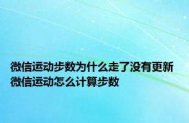 微信运动步数为什么走了没有更新 微信运动怎么计算步数