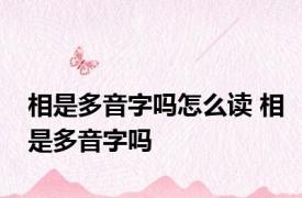 相是多音字吗怎么读 相是多音字吗