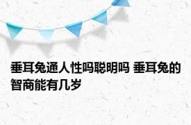 垂耳兔通人性吗聪明吗 垂耳兔的智商能有几岁