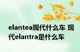 elantea现代什么车 现代elantra是什么车