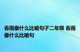 春雨像什么比喻句子二年级 春雨像什么比喻句