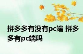 拼多多有没有pc端 拼多多有pc端吗