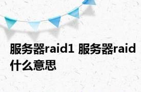 服务器raid1 服务器raid什么意思