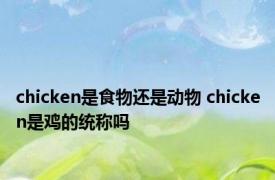 chicken是食物还是动物 chicken是鸡的统称吗