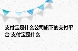 支付宝是什么公司旗下的支付平台 支付宝是什么