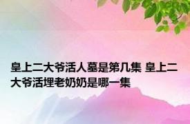 皇上二大爷活人墓是第几集 皇上二大爷活埋老奶奶是哪一集