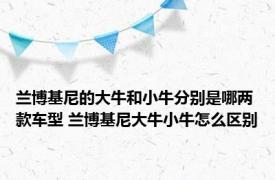 兰博基尼的大牛和小牛分别是哪两款车型 兰博基尼大牛小牛怎么区别