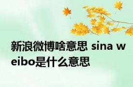 新浪微博啥意思 sina weibo是什么意思