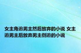 女主角追男主然后放弃的小说 女主追男主后放弃男主倒追的小说