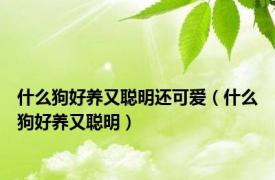 什么狗好养又聪明还可爱（什么狗好养又聪明）