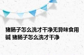 猪肠子怎么洗才干净无异味食用碱 猪肠子怎么洗才干净