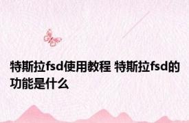 特斯拉fsd使用教程 特斯拉fsd的功能是什么